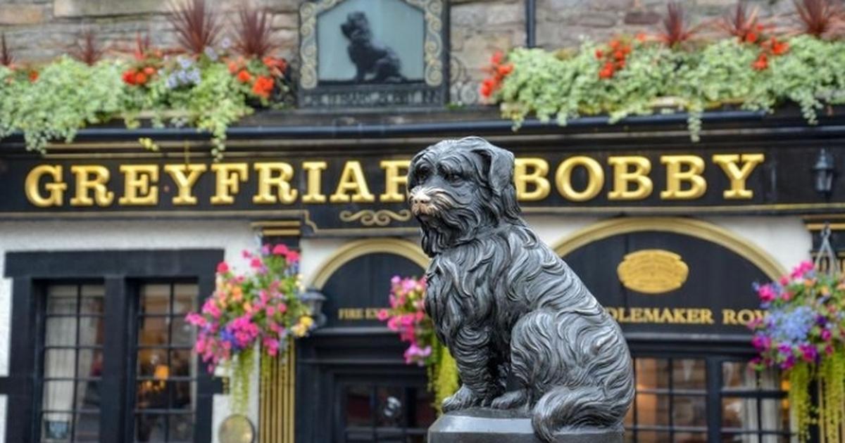 Little Terrier Statue Edinburgh - Vimarsana News