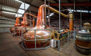 Z tysiąca do 70. Rząd chce ratować polskie gorzelnie