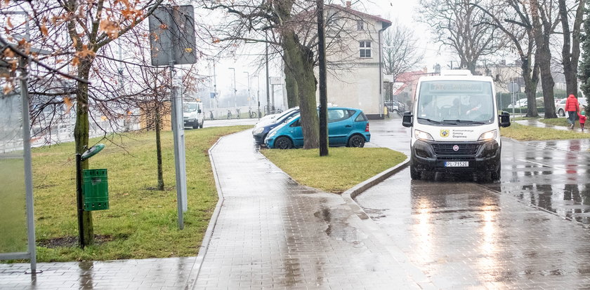 W Poznaniu nie będzie darmowej komunikacji. Możemy tylko pozazdrościć innym