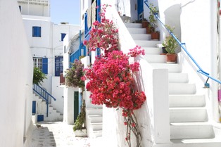 Instytut im. Roberta Kocha: Kreta, Rodos, Kos i Mykonos wśród obszarów wysokiego ryzyka epidemicznego