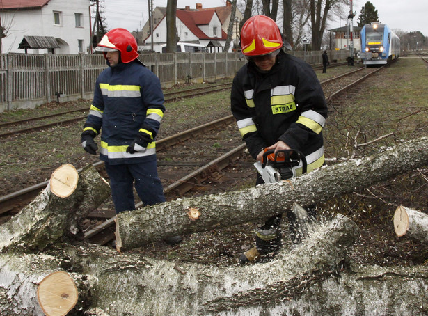 Silny wiatr na Śląsku. Złamane drzewo unieruchomiło pociąg