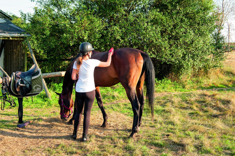 Galop na łące, kłus leśnymi przecinkami