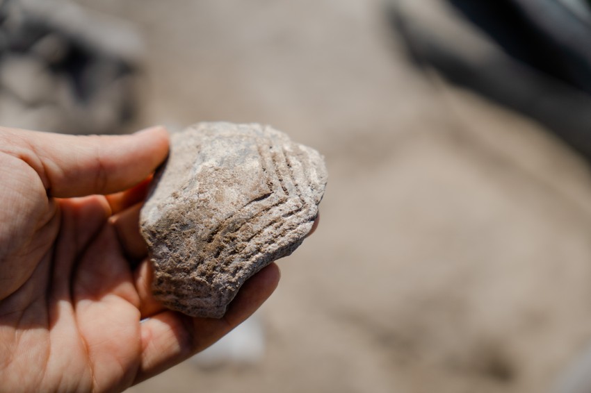 Fragment praistorijske keramičke posude