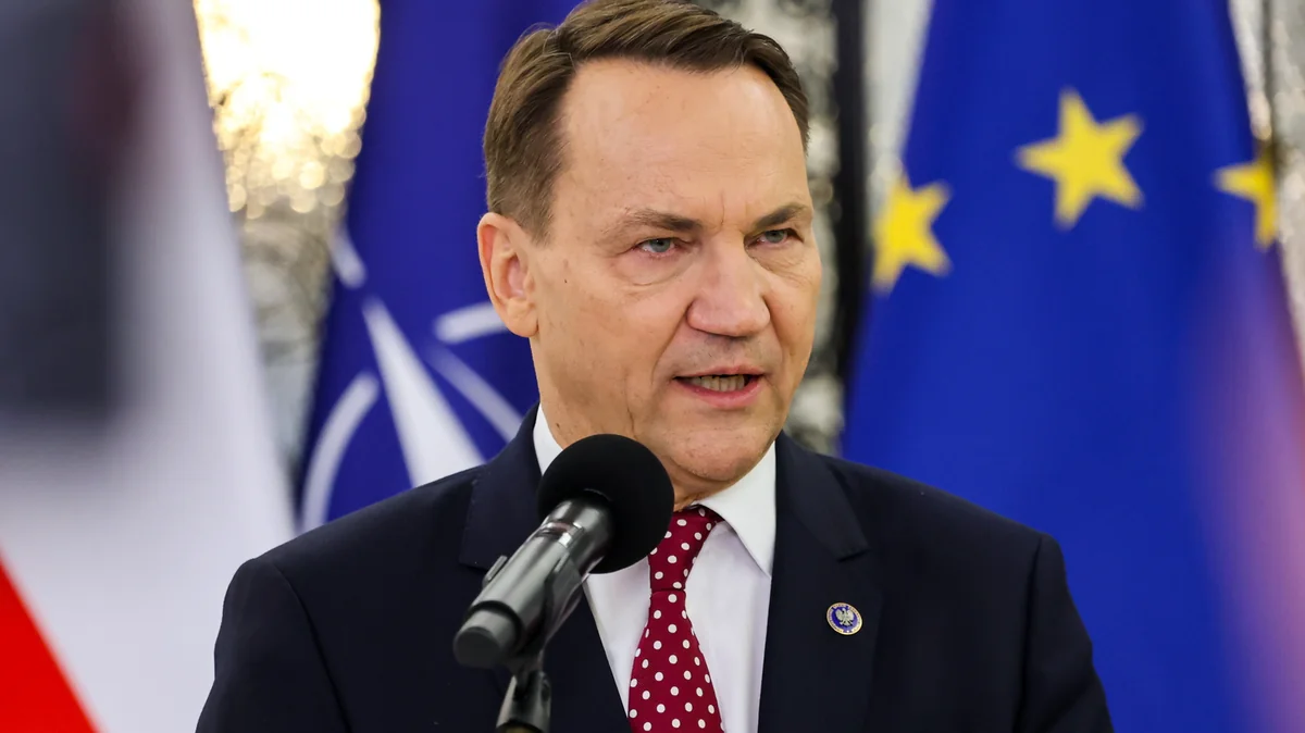 Ostre słowa Sikorskiego o USA. Rzucił ambasadorowi propozycję [ANALIZA]