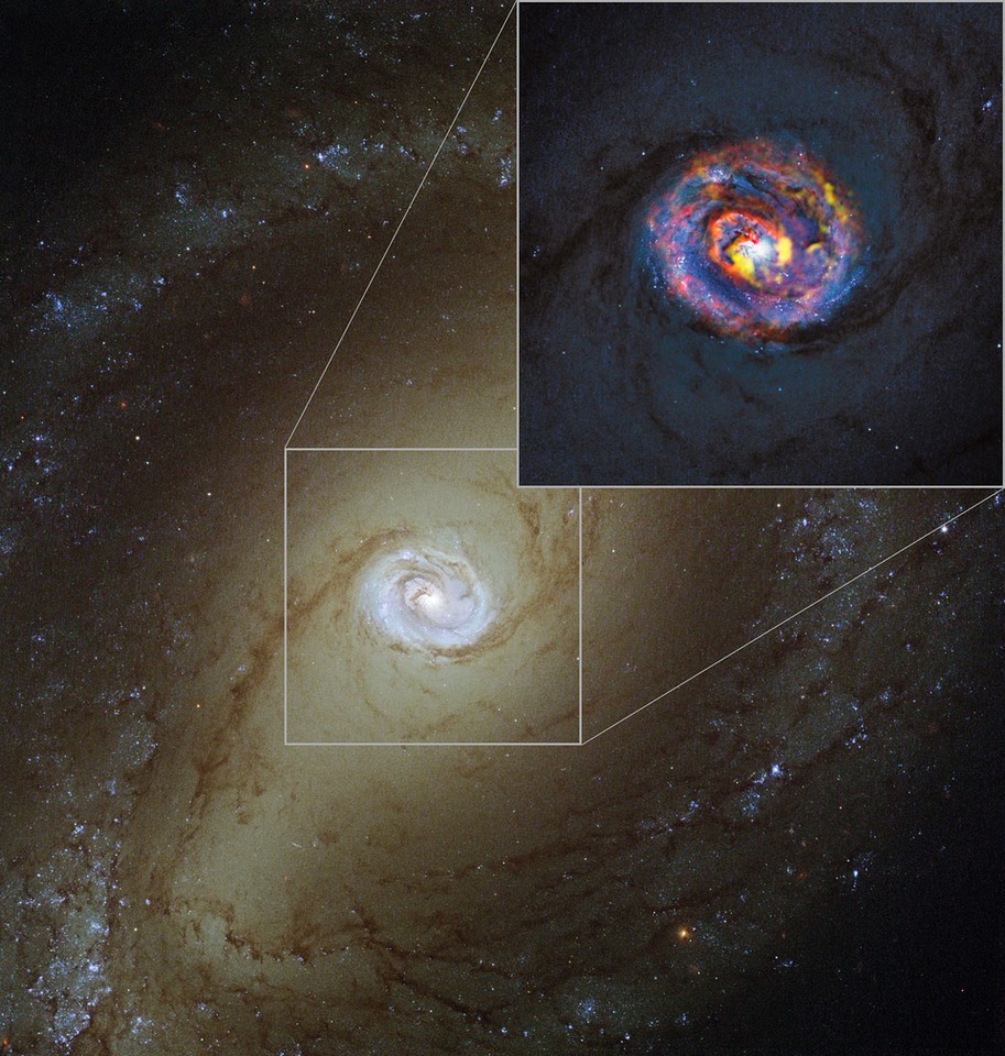 Gazy molekularne wokół NGC 1433