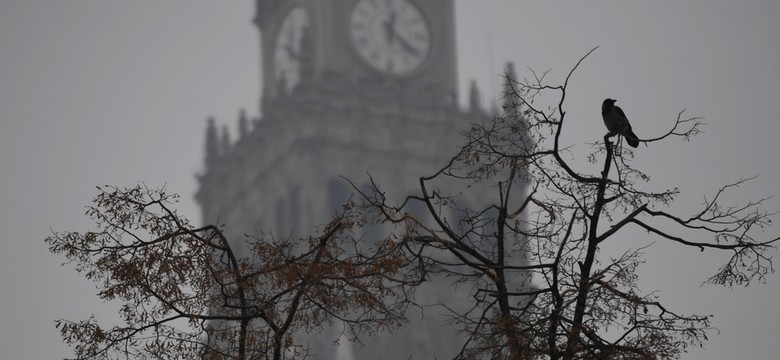 Walka ze smogiem w Europie. Co może zrobić Polska?