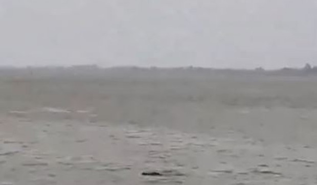 Krokodil pojeo dečaka