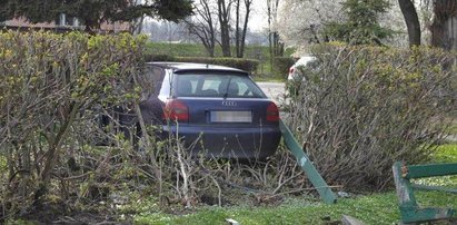 Rozpędzone audi przejechało przez... fontannę!