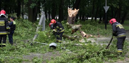 Powalone drzewo zniszczyło samochód na ul. Targowej