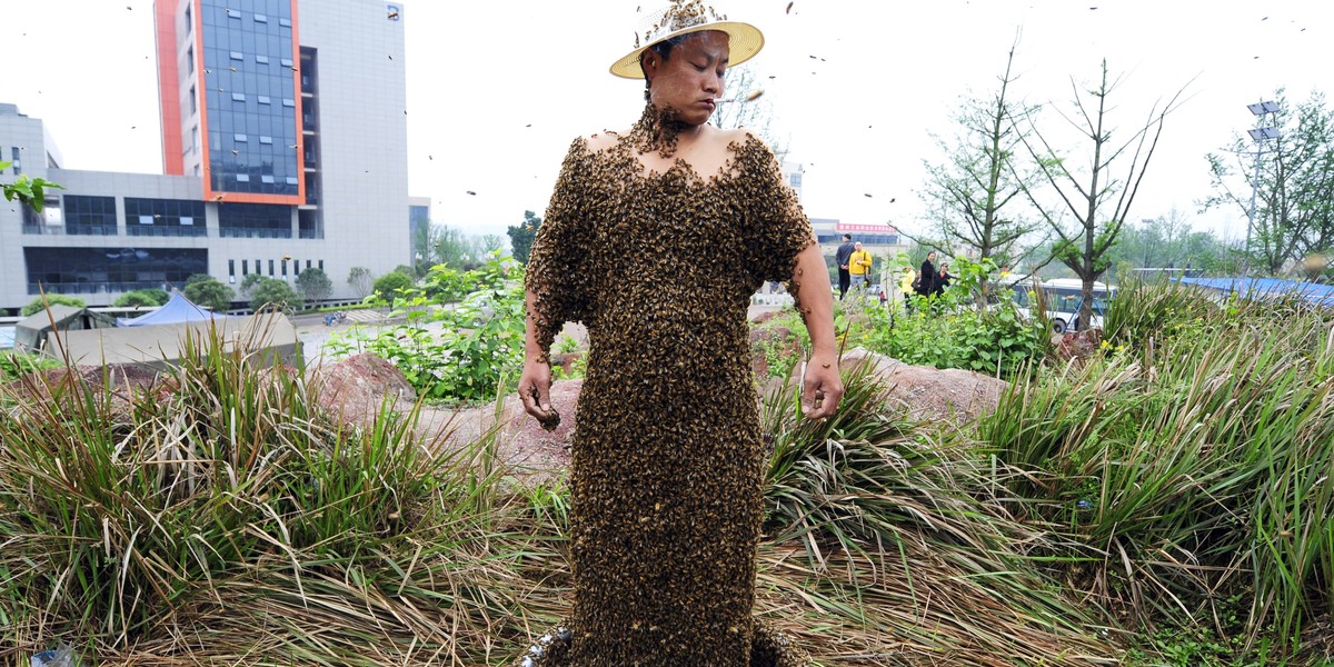 Man Covered in Bees