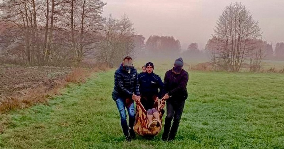 Nieśli ją w kocu. Wystawały tylko jej nogi. Dramat pod Radomskiem