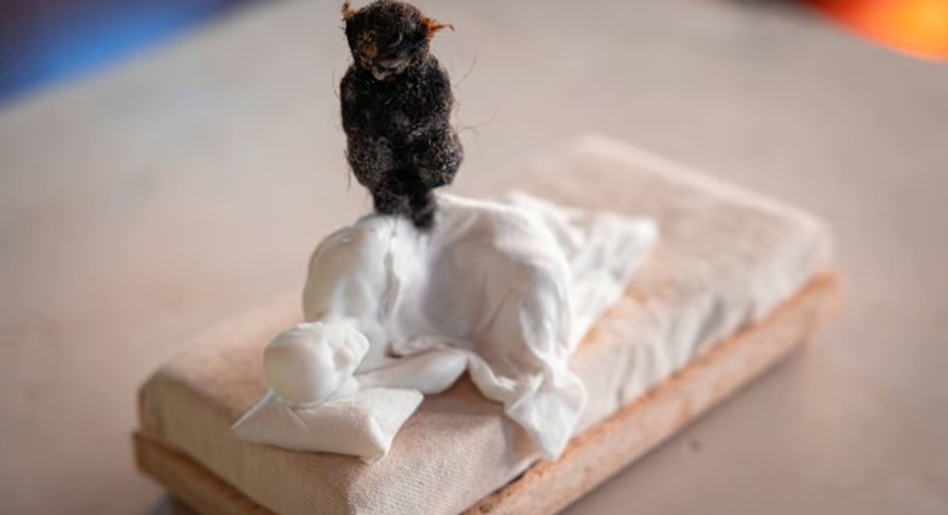 Wystawa jest żywym organizmem, poddawanym wewnętrznym rytmom regeneracji i rozpadu oraz cyklom przyrody. 