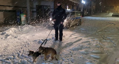 Co za okrucieństwo! Przywiązał dwa psy pod sklepem i zostawił na mrozie i śniegu. Policja szuka właściciela