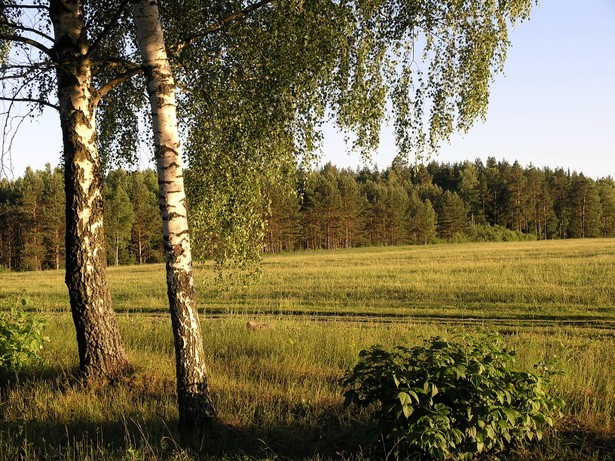 Polska Agencja Informacji i Inwestycji Zagranicznych oraz Agencja Nieruchomości Rolnych będą ściślej ze sobą współpracowały w zakresie wymiany informacji i promocji terenów inwestycyjnych