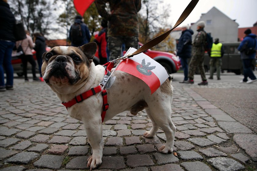 parada niepodległości w Gdańsku