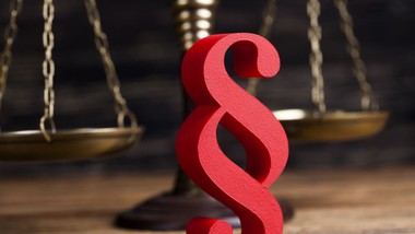 miliony w szarej strefie. sprawa roksy pokazuje skalę problemu