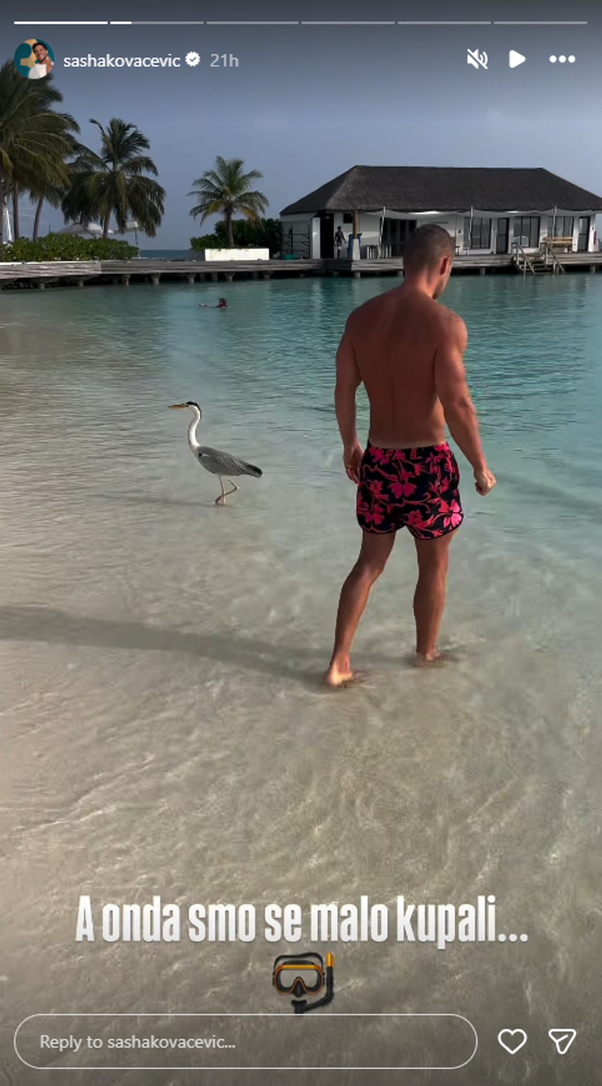 Avantura Saše Kovačevića i sive čaplje