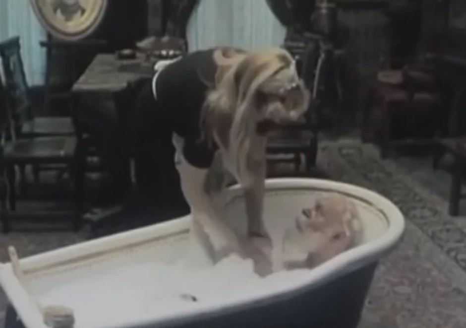 Maratoci trče počasni krug