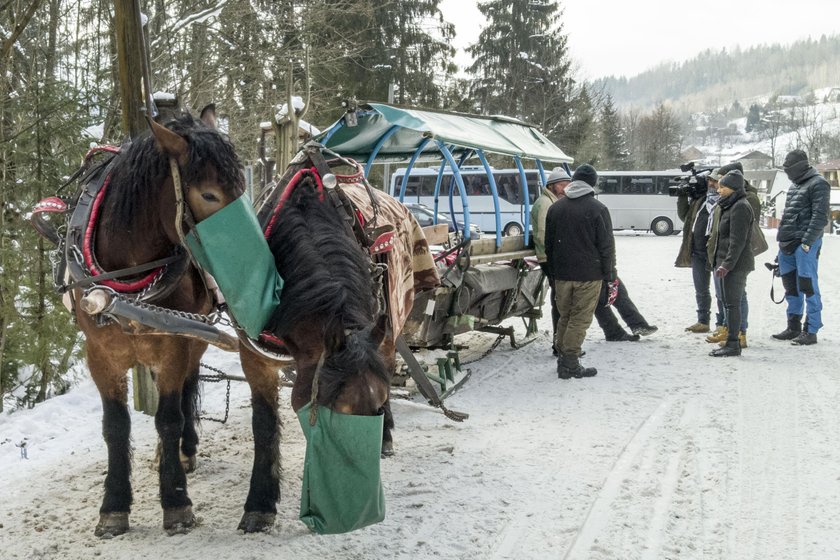 18 lutego w Wiśle Czarne zdechł koń podczas kuligu