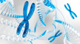 Chromosom - budowa, rodzaje i funkcje w organizmie. Aberracje chromosomowe i choroby genetyczne