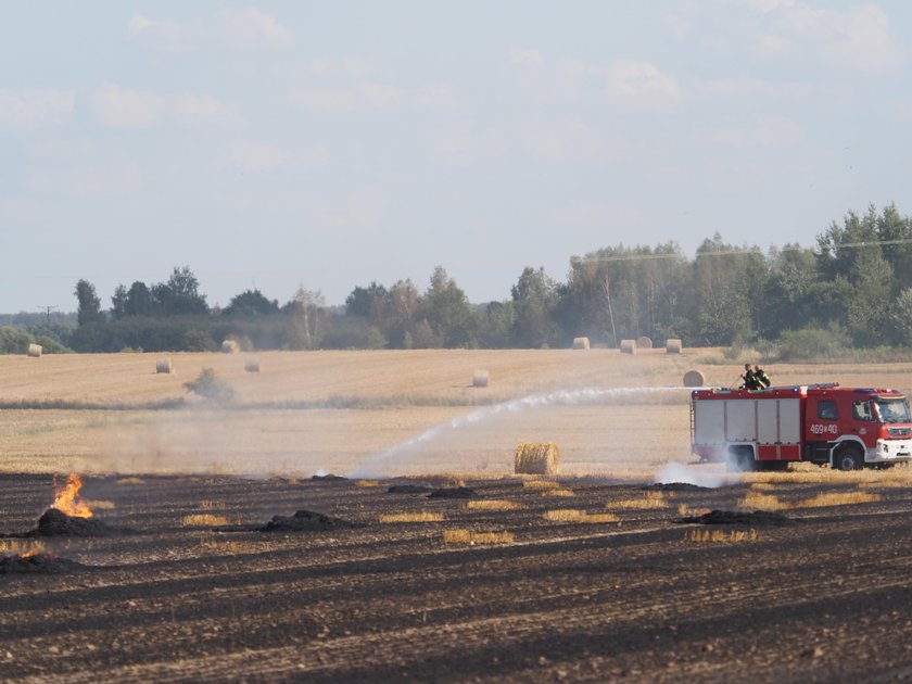 Podpalacz grasuje w Łodzi? Pożar pola na Górnej