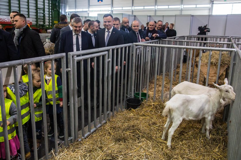 Prezydent Duda i koń