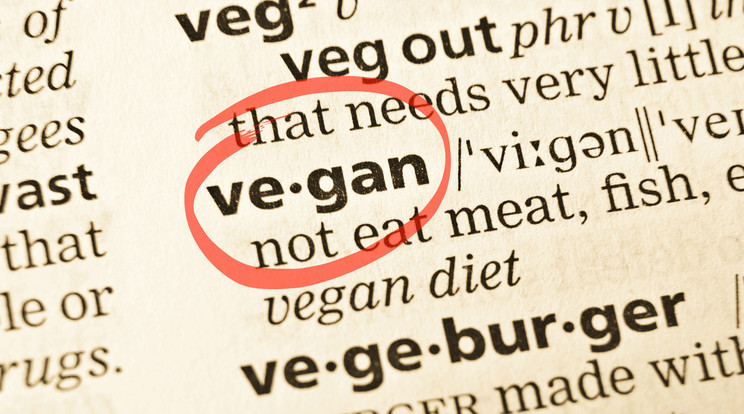Sokan ismerik a szót, hogy vegán, de vajon ismerik-e a jelentését is? /Fotó: Northfoto