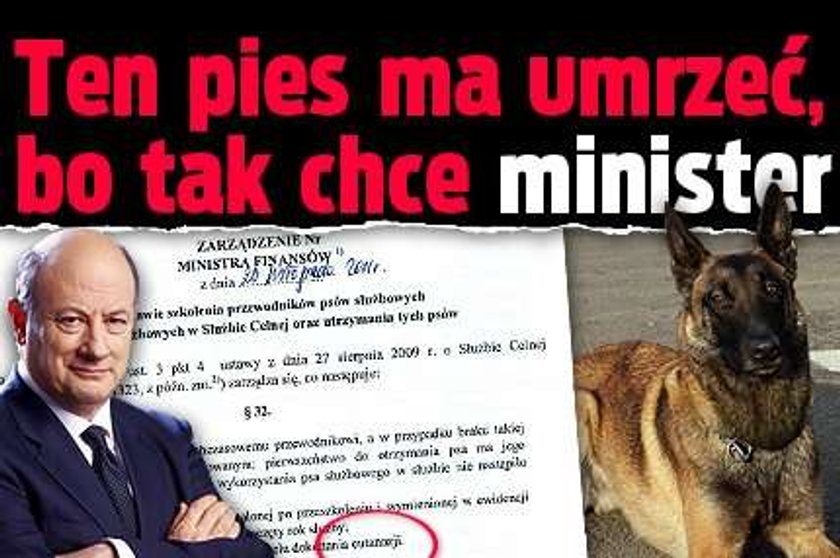 Ten pies ma umrzeć, bo tak chce minister!