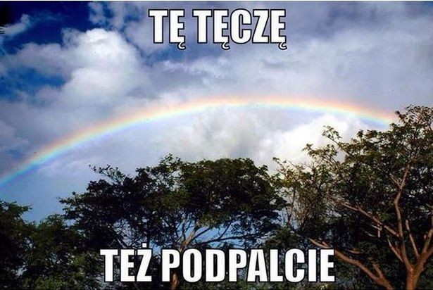 Marsz Niepodległości - mem