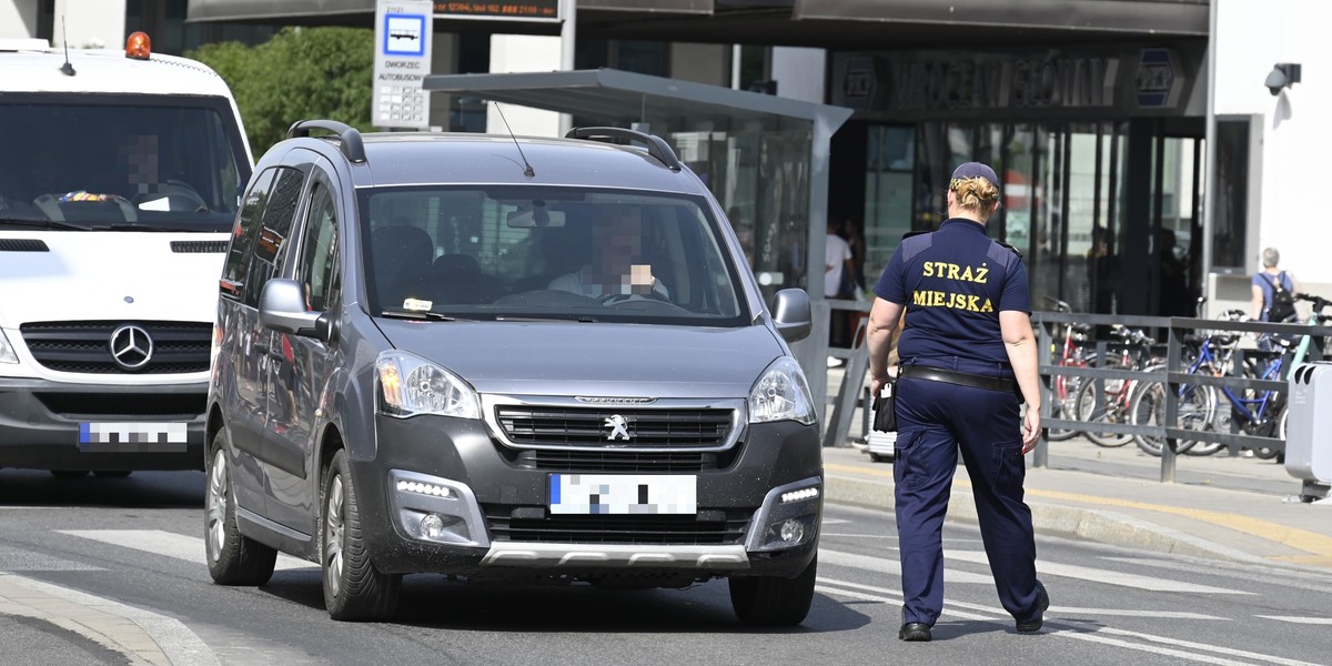 Strażnicy czatują pod Wroclavią niemal codziennie.