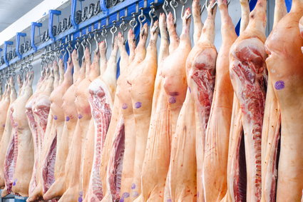 ASF w Wielkopolsce oznacza spore kłopoty. Rosną ceny mięsa
