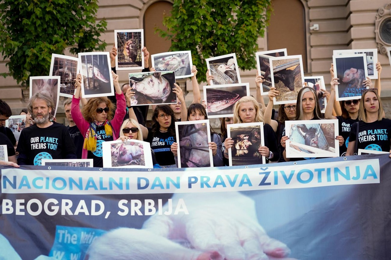 “NAŠA PLANETA, NJIHOVA TAKOĐE” Obeležen nacionalni dan prava životinja u Beogradu (FOTO)