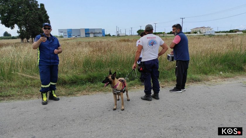 Teren cały czas przeszukują policjanci i prywatni detektywi. 