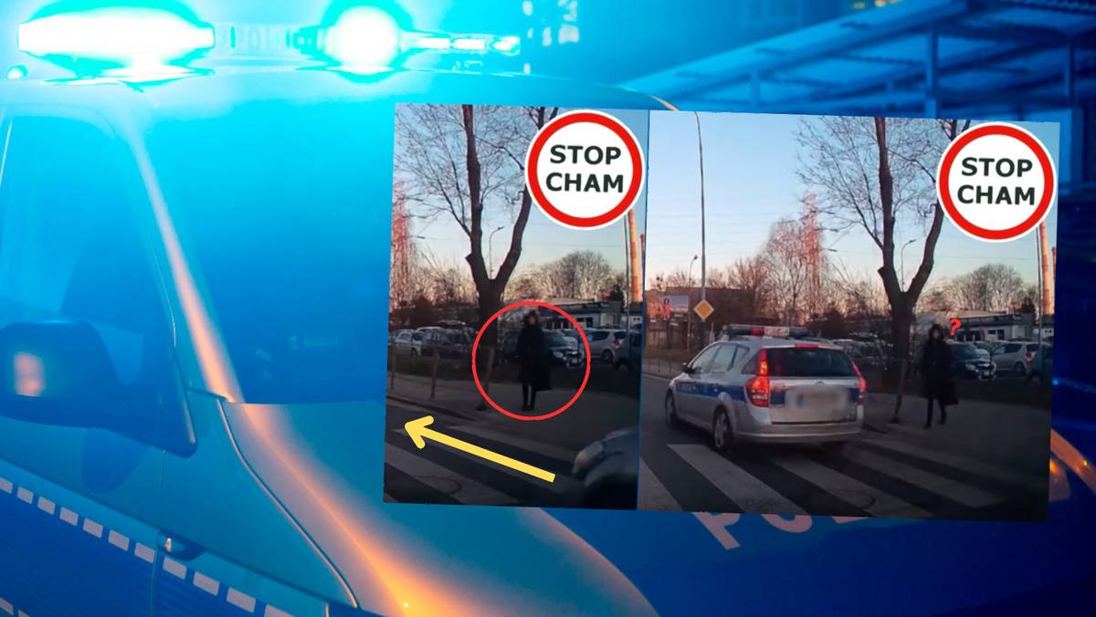 Czyn funkcjonariuszy został sfilmowany za pomocą samochodowego wideorejestratora (fot. screen z YouTube/STOP CHAM)