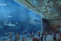 W Gdańsku powstanie gigantyczne oceanarium. Takiej inwestycji jeszcze nie było