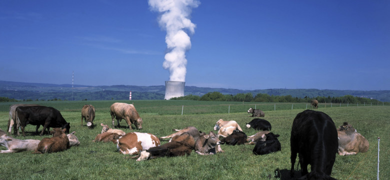 Szwajcaria ma poważny problem — jej elektrownie atomowe mogą stanąć bez rosyjskiego uranu