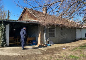 Požar u Padinskoj Skeli