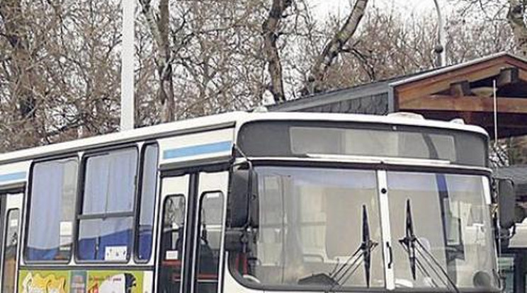 Álsofőr kötötte el a kecskeméti buszt