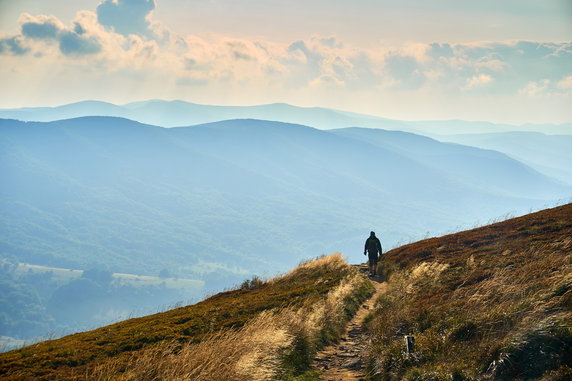 Bieszczady (woj. podkarpackie)