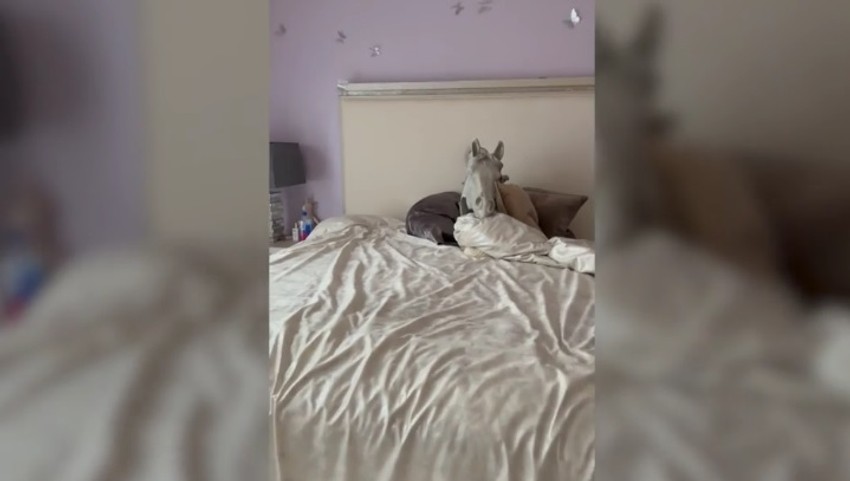 Konjska glava na krevetu