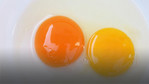 Jak sprawdzić świeżość jajek? Znacze(nie) koloru
