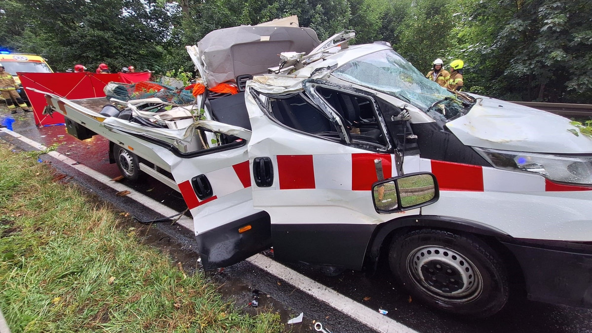 Fatalny finał nawałnicy. Drzewo przewróciło się na samochód. Nie żyje mężczyzna