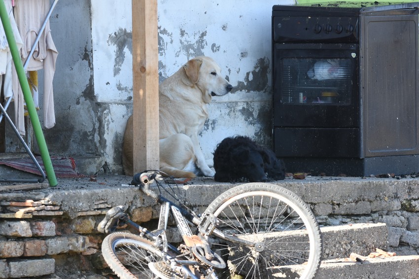 Zgrada u kojoj je jutros izbio požar