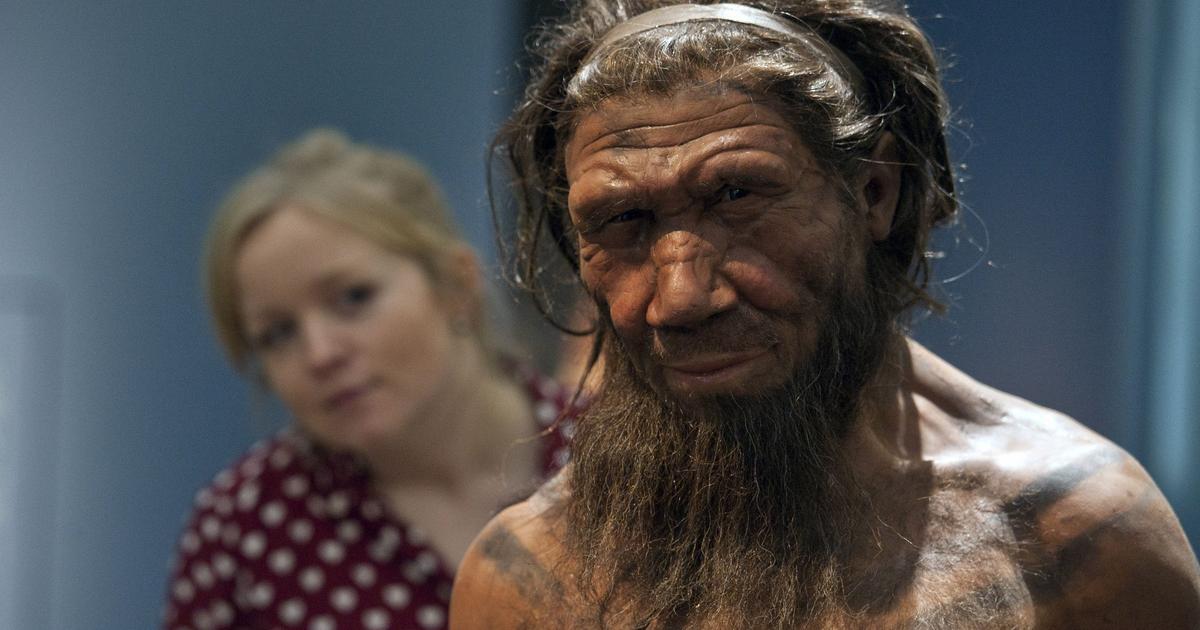 Neanderthals and humans may belong to the same species, say scientists ...