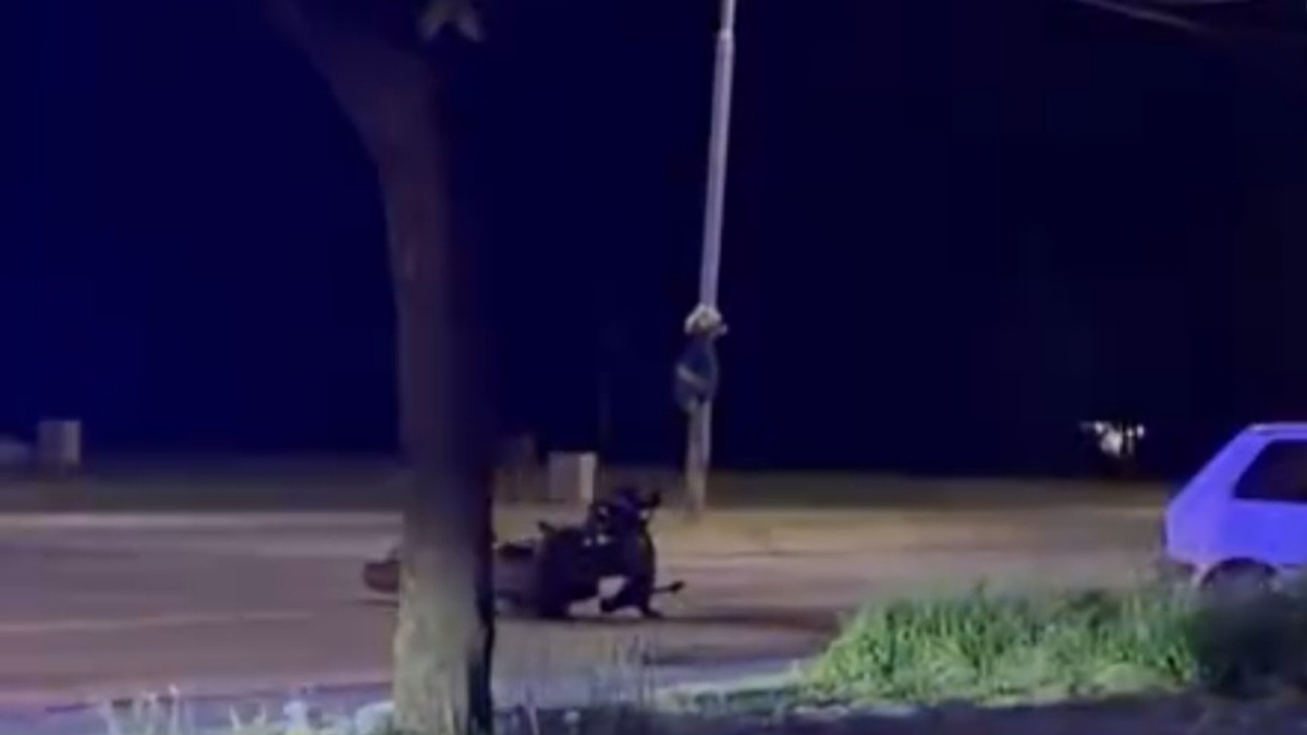 (VIDEO) OBOREN MOTOCIKLISTA Saobraćajna nesreća u Dositejevoj: Uviđaj u toku