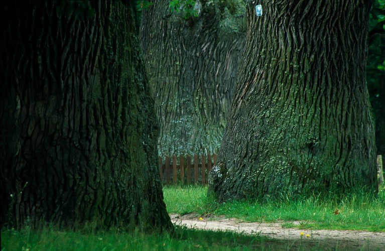 Najpiękniejsze krajobrazy Polski