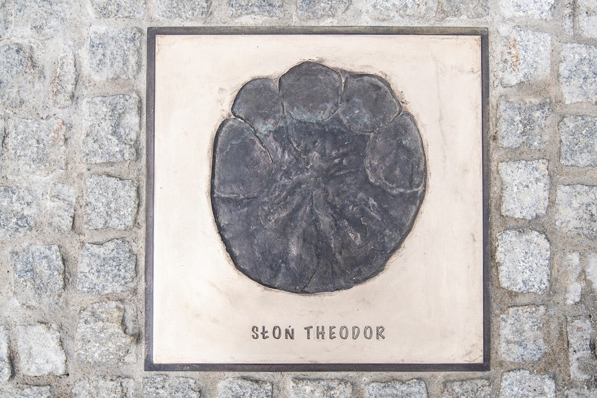 Odcisk łapy słonia Teodora w Alei Gwiazd