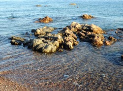 Polak chciał przepłynąć Morze Czerwone. Zaginął