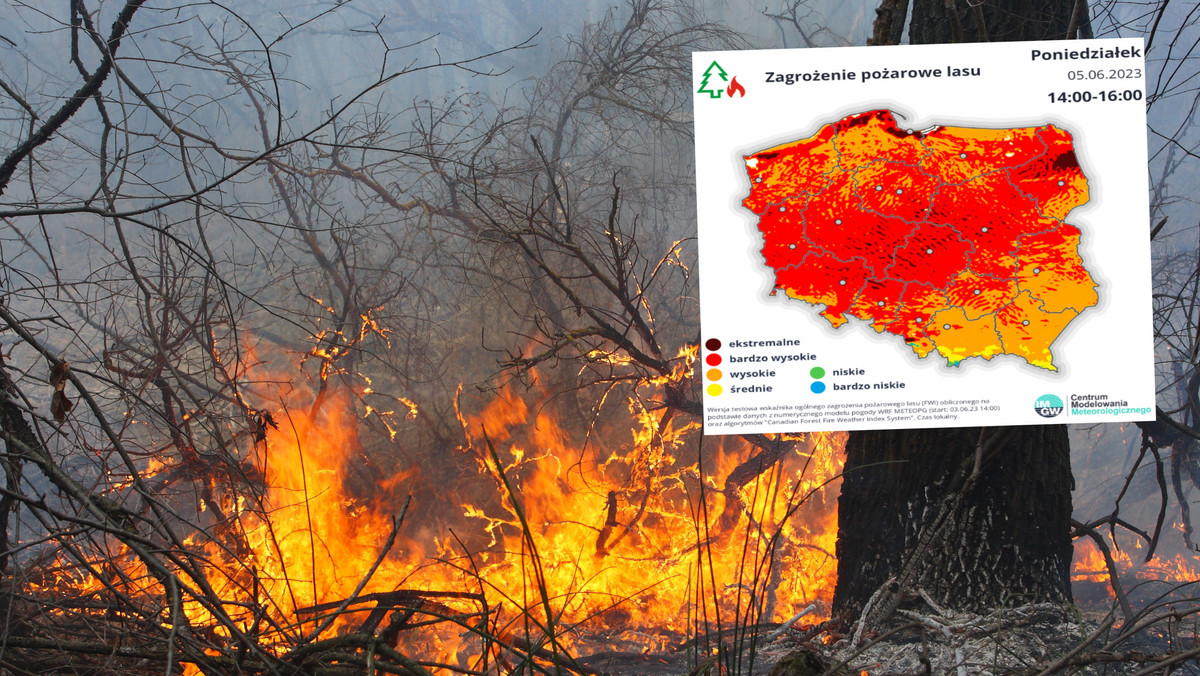  Przeraźliwa czerwień na mapach. Ekstremalne zagrożenie pożarowe w lasach