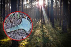 Leśne znalezisko z epoki brązu. Toporki mają około 3500 lat